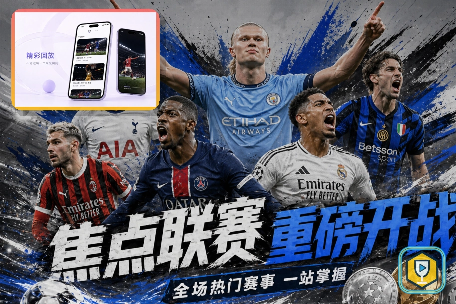 网页翻译入口时请先确认